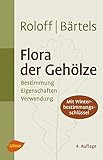 Image de Flora der Gehölze: Bestimmung, Eigenschaften und Verwendung