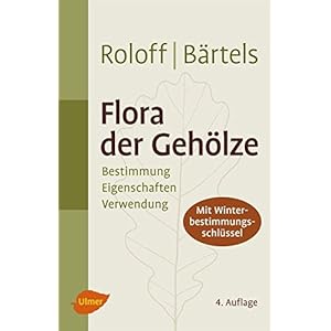 Flora der Gehölze: Bestimmung, Eigenschaften und Verwendung