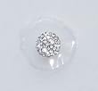 Crystal Bindi