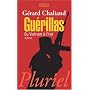 Gu�rillas : Du Vietnam � l'Irak