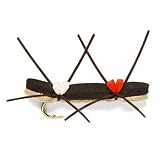 Chernobyl Ant
