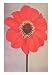Single Dahlia Perplex Art Poster Print, 13x18