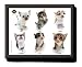 Hana Deka Padded Lap Tray - Kittens Cats