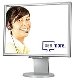 NEC LCD-2170NX 54,1 cm (21,3 Zoll) LCD TFT Monitor silber/grau DVI