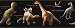 Candice Olson Dinosaurs &amp; Names Wallpaper Border