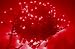 100 Red Rice Lights - 8 Function Indoor Outdoor String Lights