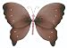 Brown Pink Crystal Butterfly nylon hanging ceiling wall baby nursery room wedding décor