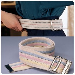 Transfer Belt Size 72 Neutral - Model 655702B002BVMKF4 : image