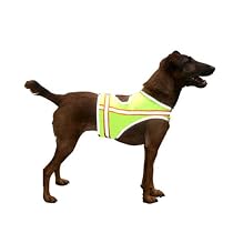 Reflective Dog Vest Large