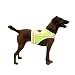 Dog Apparel