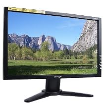 Envision Professional H191W - Flat panel display - TFT - 19