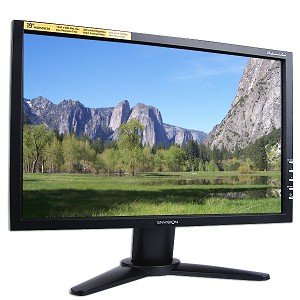 Envision Professional H191W - LCD display - TFT - 19" - widescreen - 1440 x 900 / 60 Hz - 300 cd/m2 - 500:1 - 8 ms - 0.285 mm - VGA - black