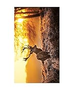 Huella deco Alfombra de Vinilo (Naranja/Multicolor)