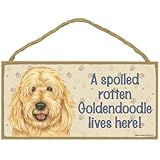 A spoiled rotten Goldendoodle lives here wood sign plaque