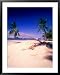 Palm Trees on Beach, Isla Tortuga, Costa Rica Framed Art Poster Print by John Anderson, 31x39