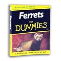Ferrets for Dummies