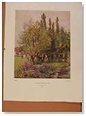 Nettlefold Catalogue Alfred Parsons Purple Loosestrife