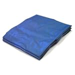 10 X 10 Blue Tarp Cover Patio Canopy Shade Yard 10x10