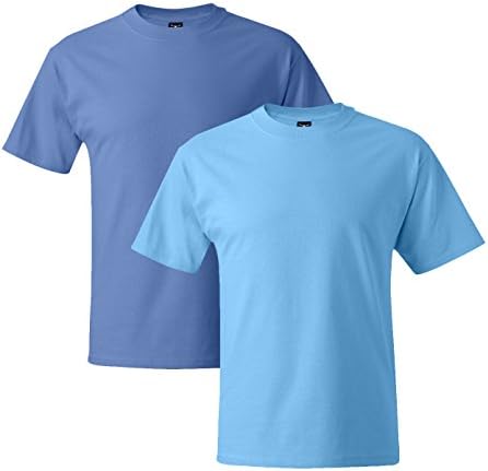 Hanes Mens 5180 Short Sleeve Beefy T, 1 Aqua Blue / 1 Carolina Blue Large