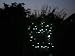 Solar 100 LED WHITE Bright String Lights