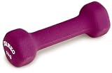 IVANKO�l�I�v���[���_���x��1kg IVD-1 IVD-1