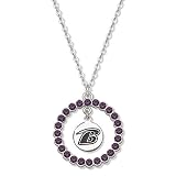 NFL Baltimore Ravens Necklace W/ Purple Crystal Wreath