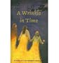 A Wrinkle in Time (Madeleine L'Engle's Time Quintet)