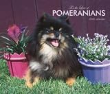 For the Love of Pomeranians 2008 Deluxe Wall Calendar