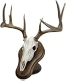 Walnut Hollow Country Deluxe Euro Skull Display Kit, Walnut