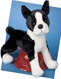 Douglas Willem Boston Terrier 16