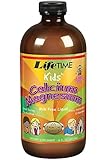 Kids Liquid Cal Mag Bubble Gum LifeTime 16 oz Liquid