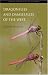 Dragonflies and Damselflies of the West (Princeton Field Guides)