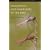Dragonflies and Damselflies of the West (Princeton Field Guides)