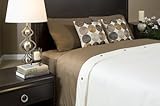 BedVoyage 100-Percent Bamboo-Derived Rayon Reversible Queen Duvet Cover, Mo ....