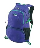 (ビジョンピークス) VISIONPEAKS ザック 20L?30L 1泊 プルス24 VPH-118 PU/GR 24 (ビジョンピークス) VISIONPEAKS ザック 20L?30L 1泊 プルス24 VPH-118 PU/GR 24