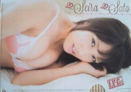 Sato Seira (Ske48) B5 Clear File Young Champion February 25, 2015 Special Issue Yul No.2 Appendix I.f.c No.171