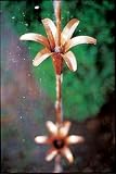 Lily Rain Extension