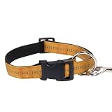 LARGE 20 IN - GOLD - Padded Nylon Dog Collars