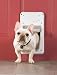 Petsafe SmartDoor Small