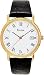 Men's Stainless Steel Quartz Black Dial Day Date