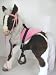 Butterscotch S'Mores Horse Interactive Hasbro Saddle Set -Pink!