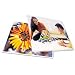GBC HeatSeal LongLife Premium Laminating Pouches, 5 mm, 9 x 11.5 Inches, 10 per Box (3747324)