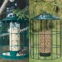 Seed and Peanut Feeder