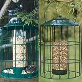 Seed and Peanut Feeder