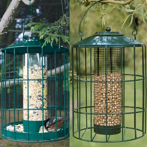 Seed and Peanut Feeder