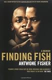 Finding Fish Medium