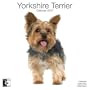 Yorkshire Terrier 2010 Wall Calendar AP30476