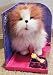 FurReal Friends Lil Patter Pup - Cairn Terrier