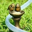 Lovebirds Hose Guard (with stake)