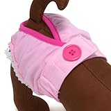 レース サニタリーパンツ [ ピンク ] 犬のサニタリーパンツ 夏の新作 【M】